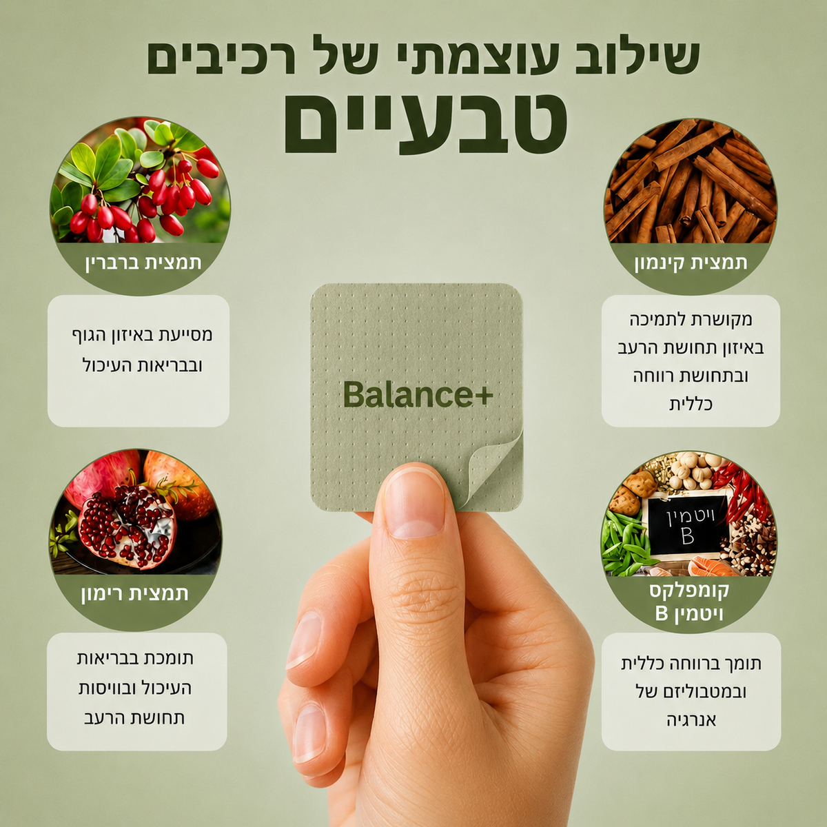 Balance+